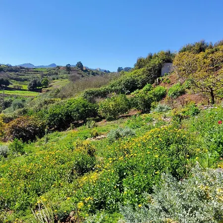 וילה Ecofinca Selva Doramas Santa Maria de Guia de Gran Canaria