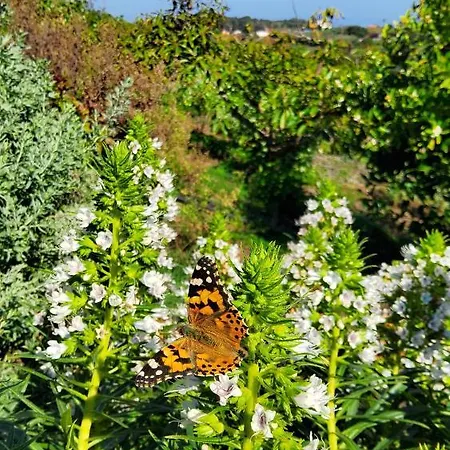 Ecofinca Selva Doramas