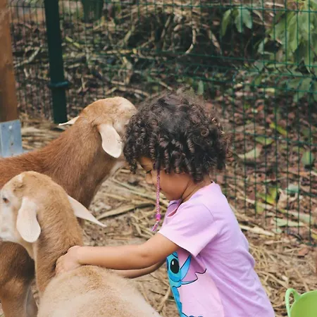 וילה Ecofinca Selva Doramas Santa Maria de Guia de Gran Canaria