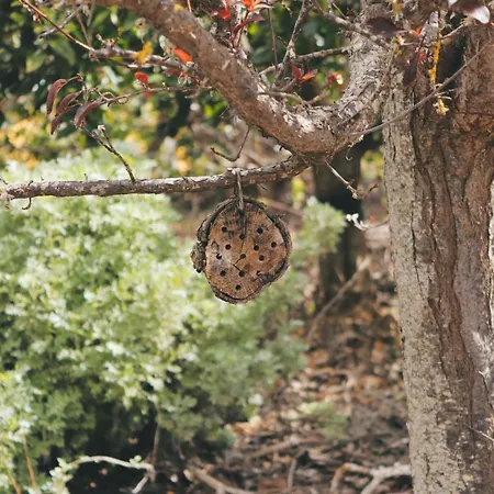 Ecofinca Selva Doramas וילה Santa Maria de Guia de Gran Canaria