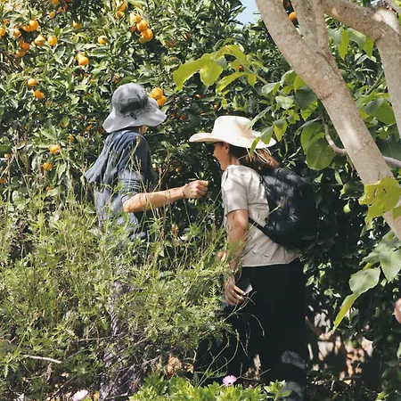 Ecofinca Selva Doramas Santa Maria de Guia de Gran Canaria