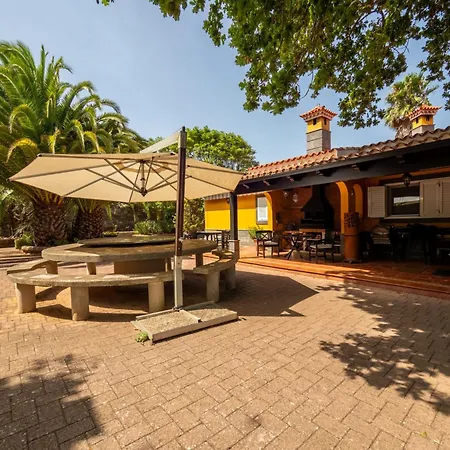 Ecofinca Selva Doramas * Santa Maria de Guia de Gran Canaria