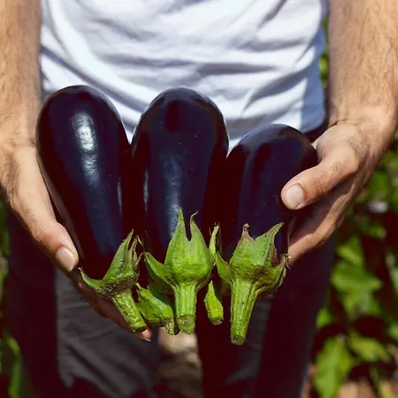 Ecofinca Selva Doramas וילה Santa Maria de Guia de Gran Canaria