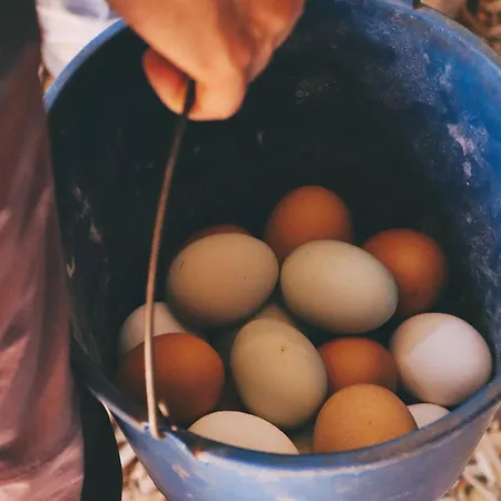 Ecofinca Selva Doramas וילה