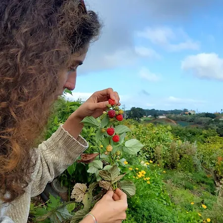 וילה Ecofinca Selva Doramas *