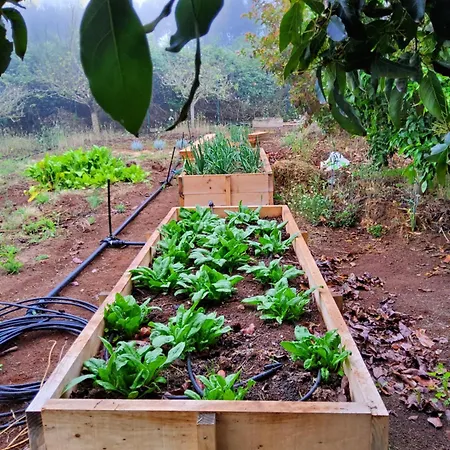 Ecofinca Selva Doramas וילה Santa Maria de Guia de Gran Canaria