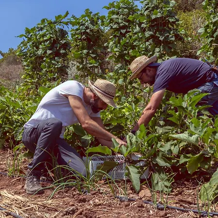 וילה Ecofinca Selva Doramas *