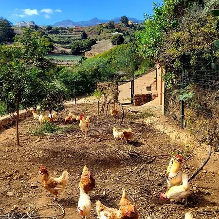 Ecofinca Selva Doramas וילה Santa Maria de Guia de Gran Canaria